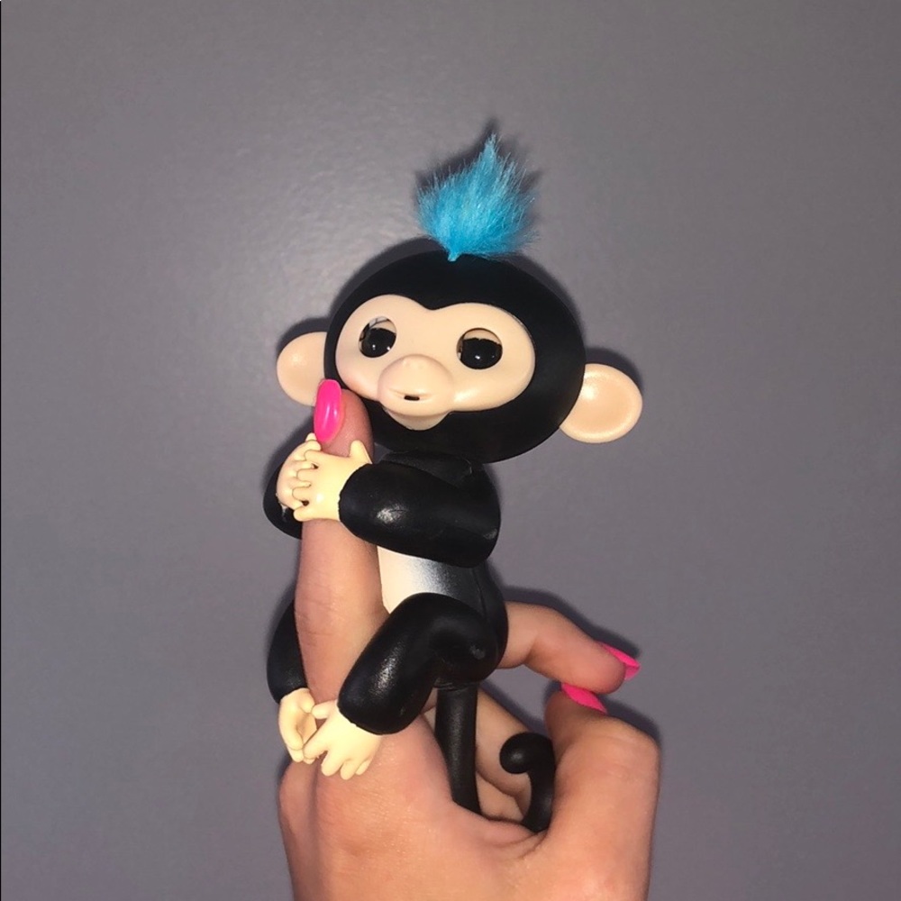 Fingerling blue and black monkey